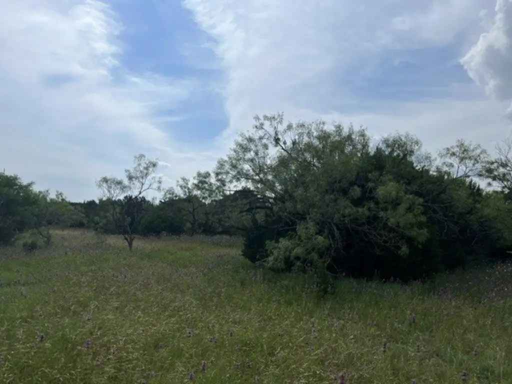 Picture 17