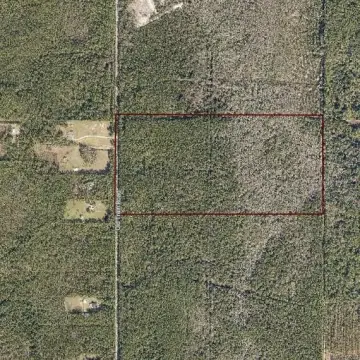 Expansive Wooded Land Opportunity