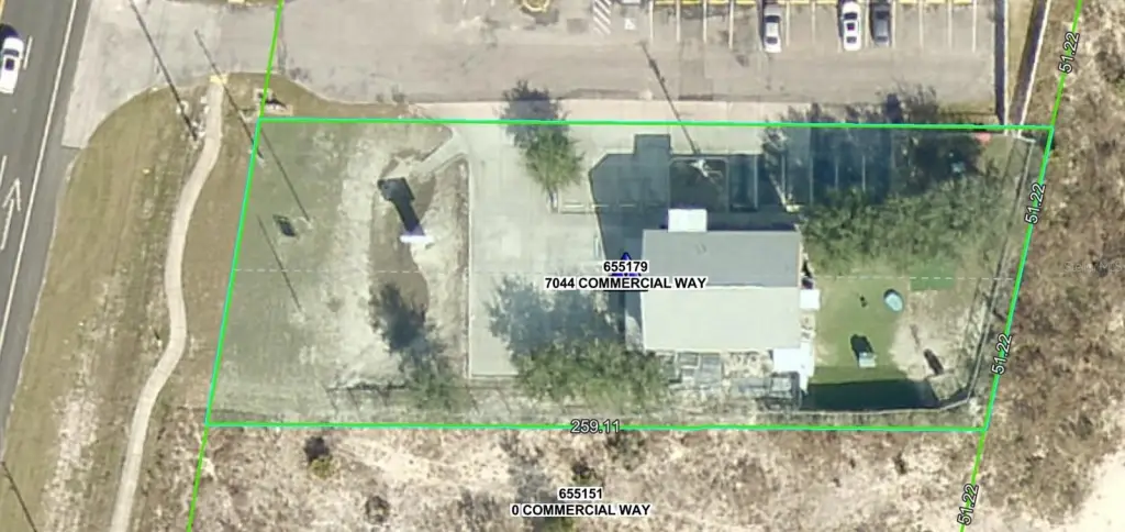 Picture 55