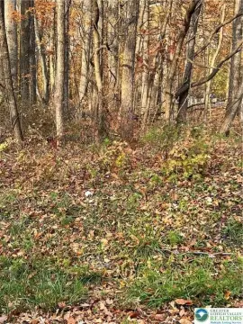 Flat Lot in Washington Township