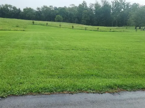 Residential Lot Ready For Building