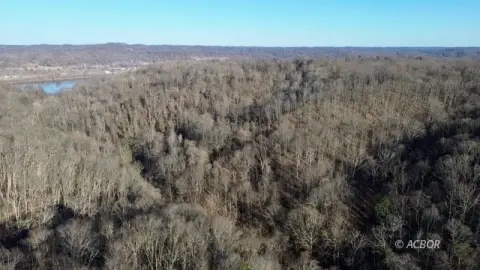 Expansive Vacant Land for Hunting