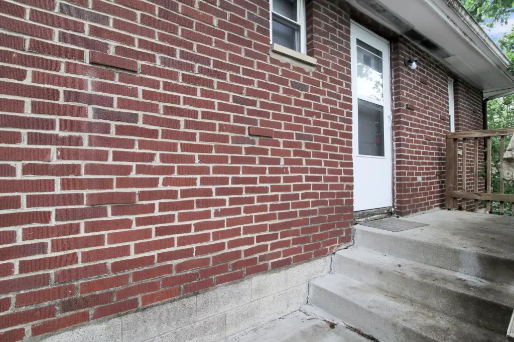 Picture 8