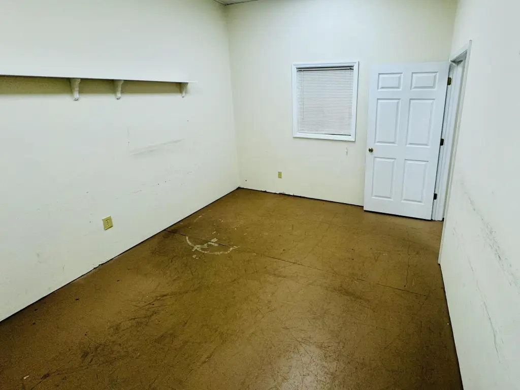 Picture 5