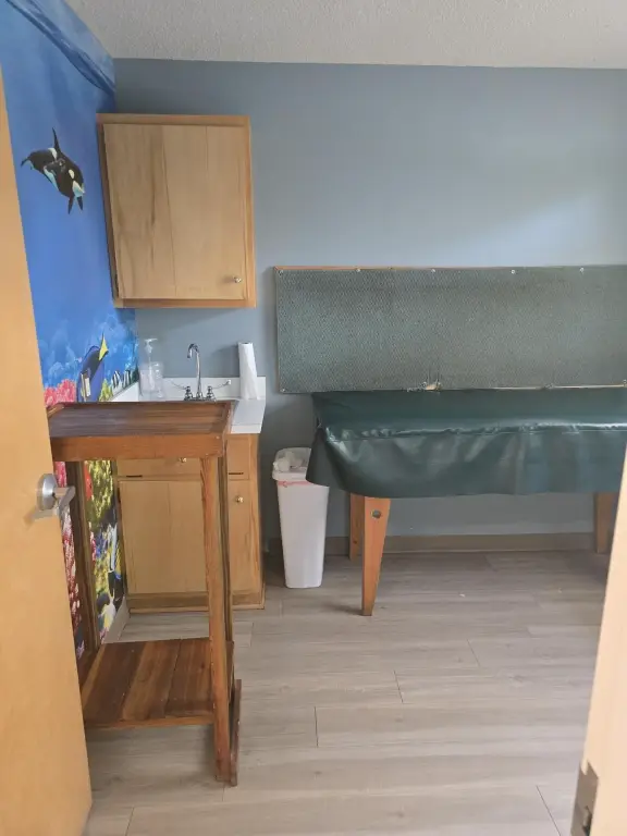 Picture 12