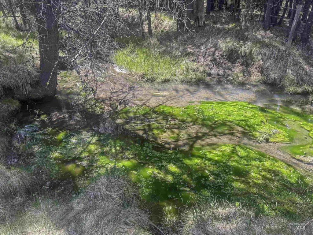 Picture 21