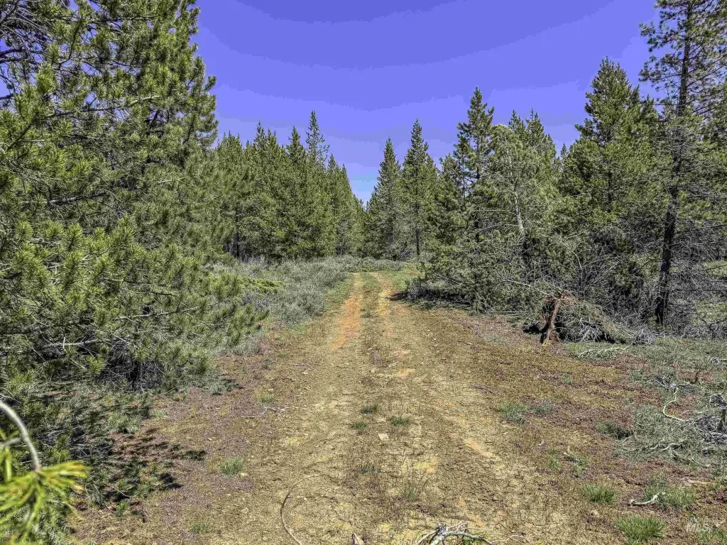 Picture 38