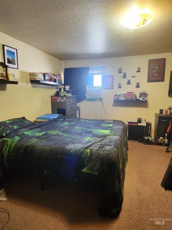 Picture 12