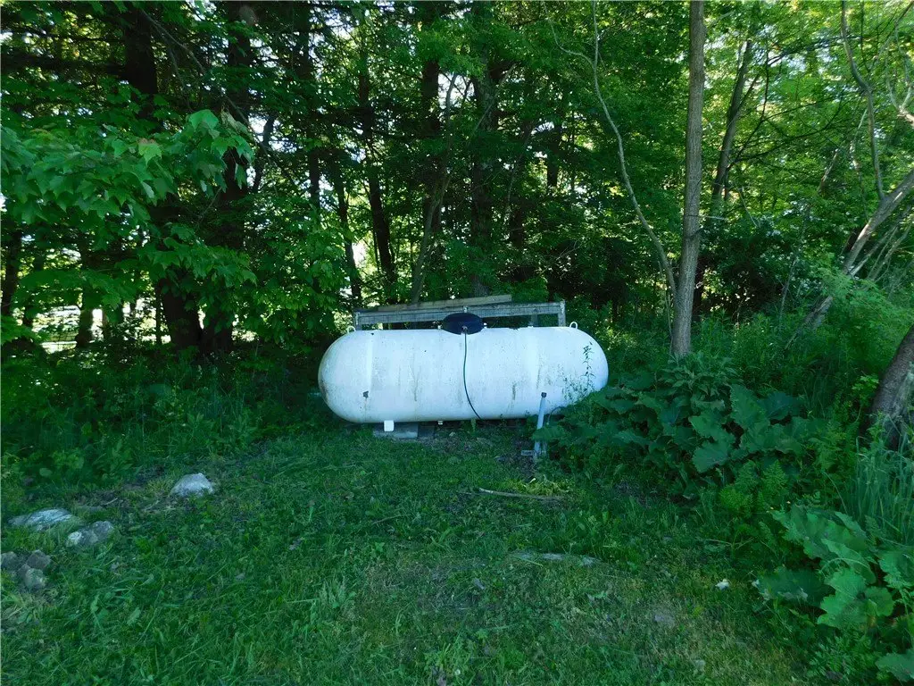 Picture 18