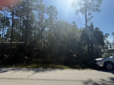 Residential Land in Florida