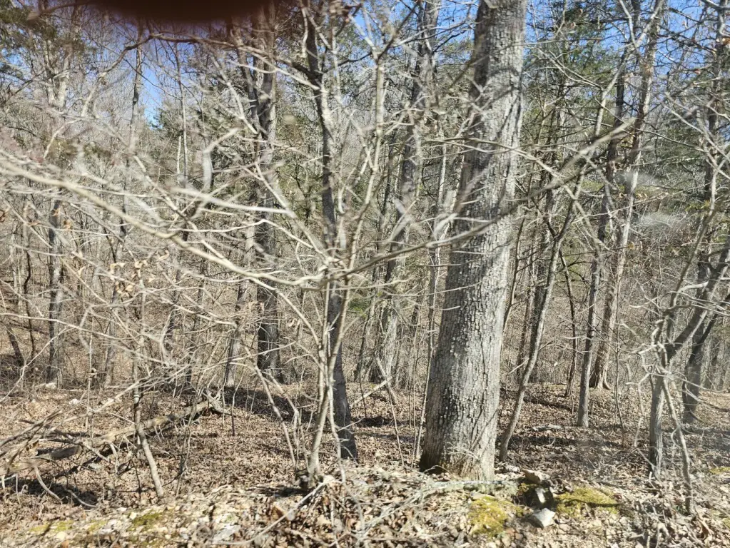 Picture 4