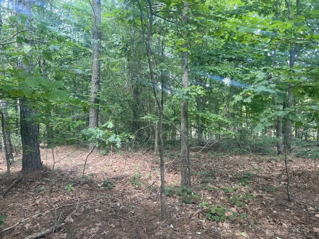 Picture 18