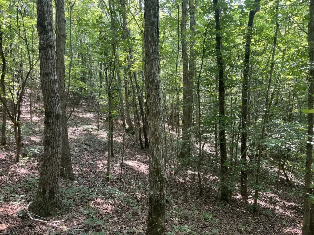 Picture 14