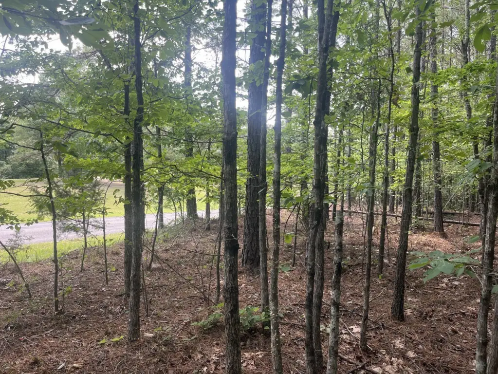 Picture 19