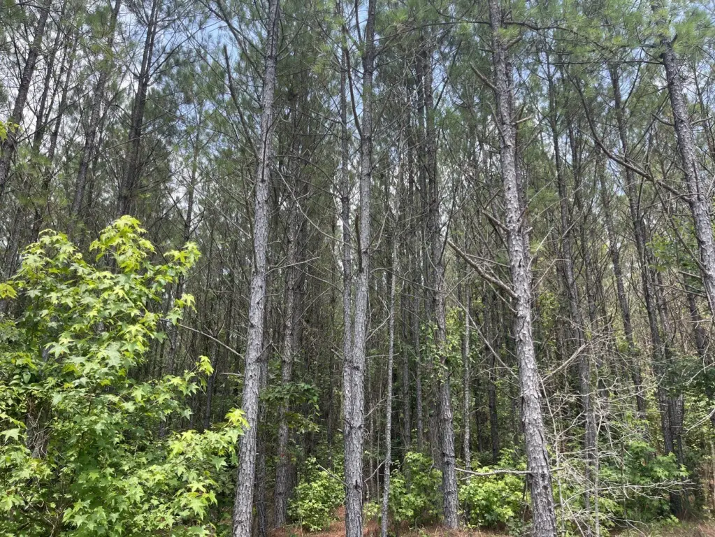 Picture 16