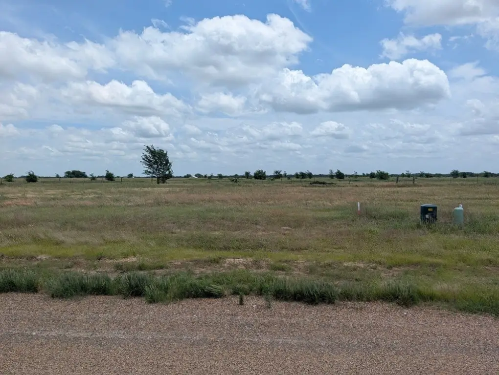 Picture 4