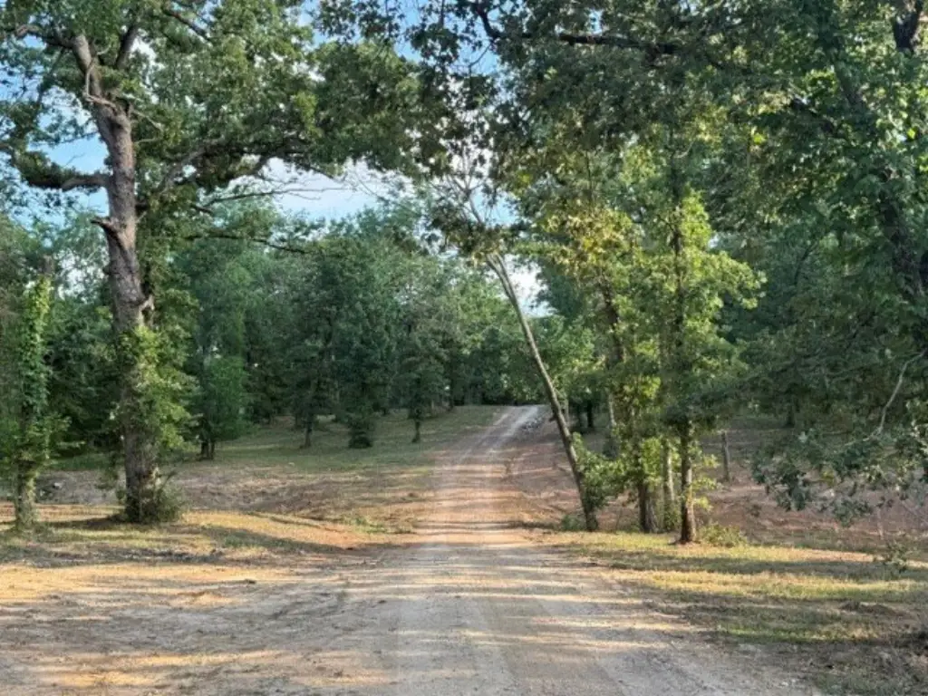 Picture 21