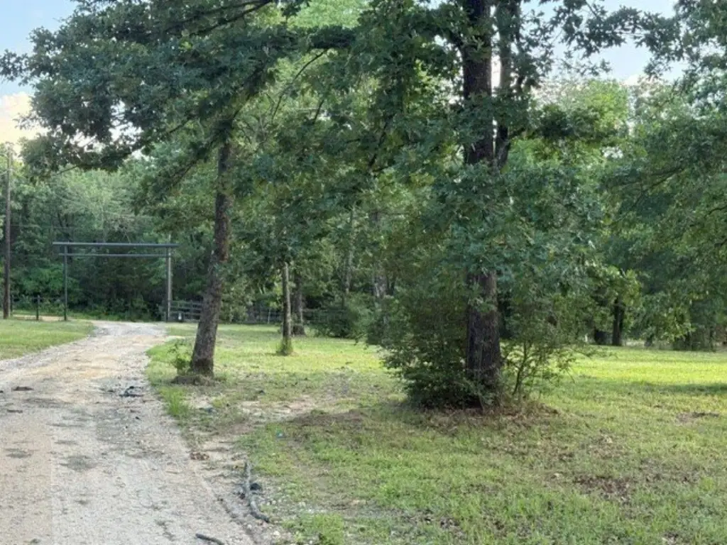 Picture 23