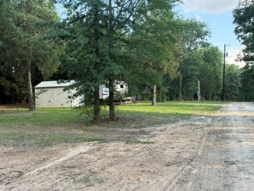 Picture 24
