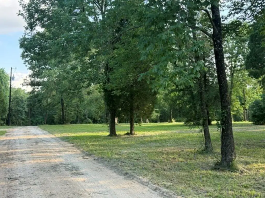 Picture 22