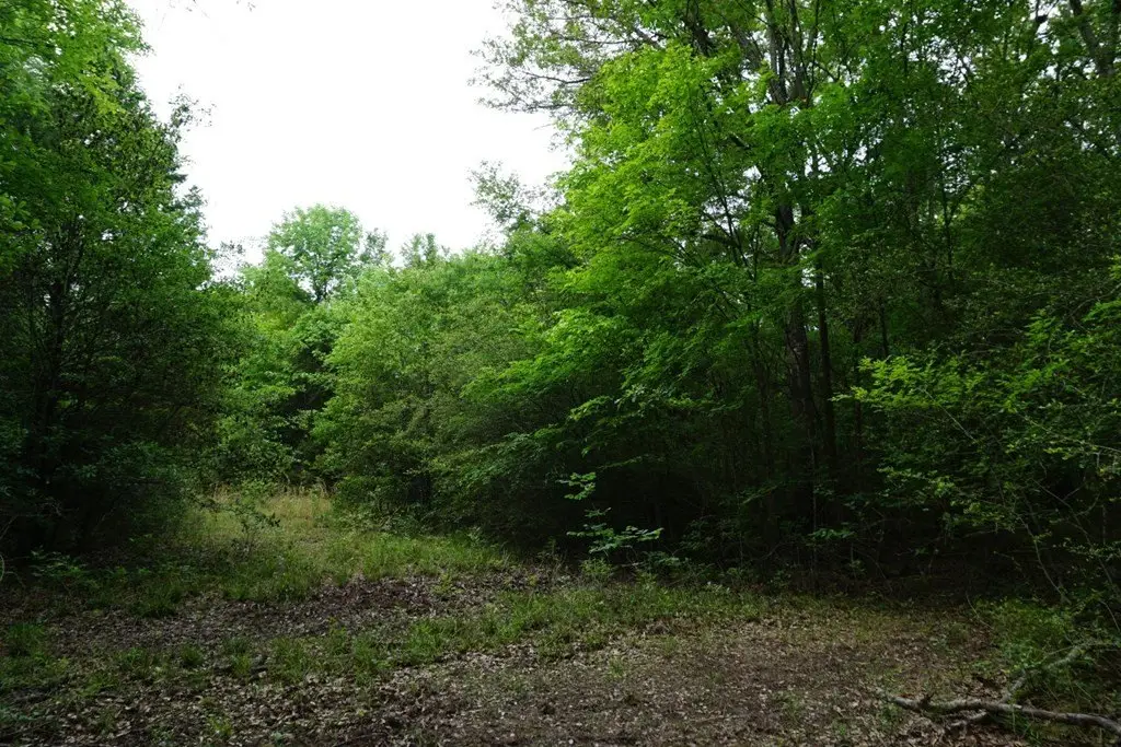 Picture 20
