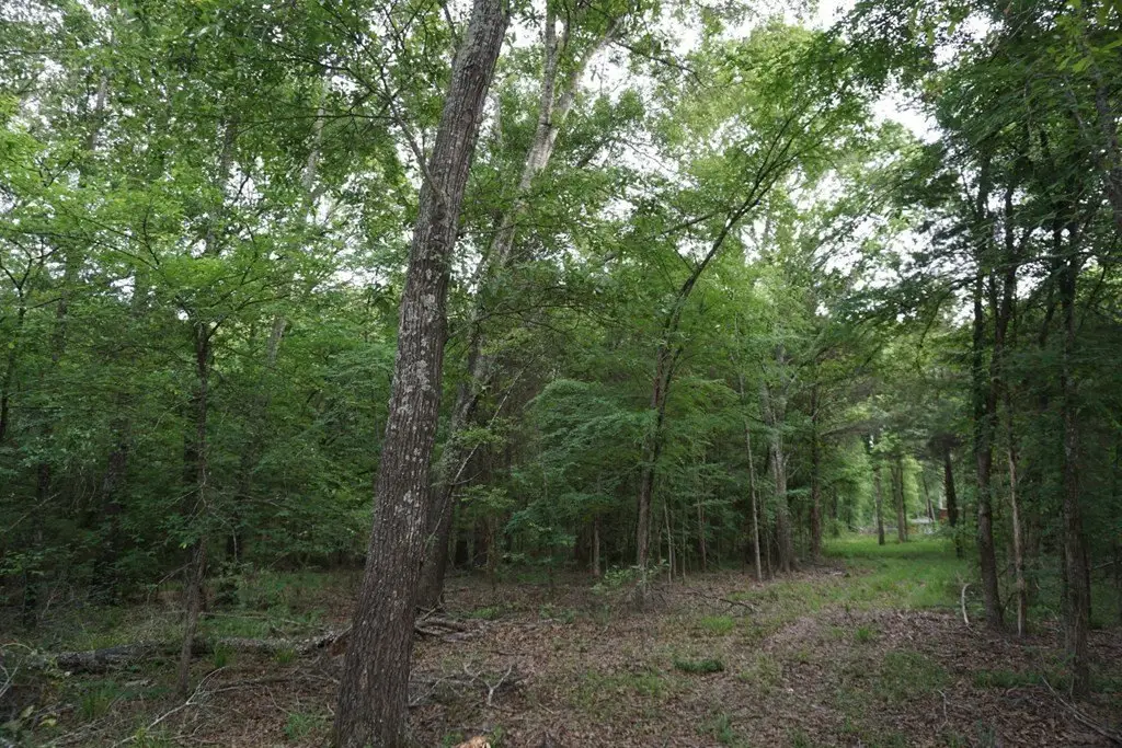 Picture 28