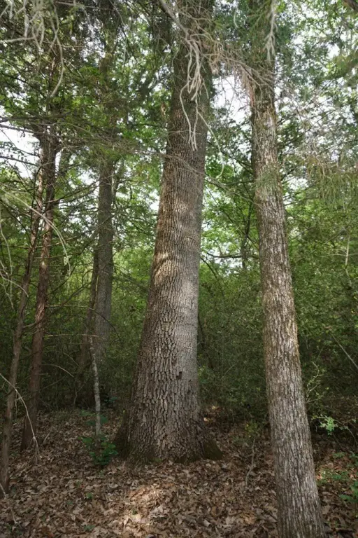 Picture 18