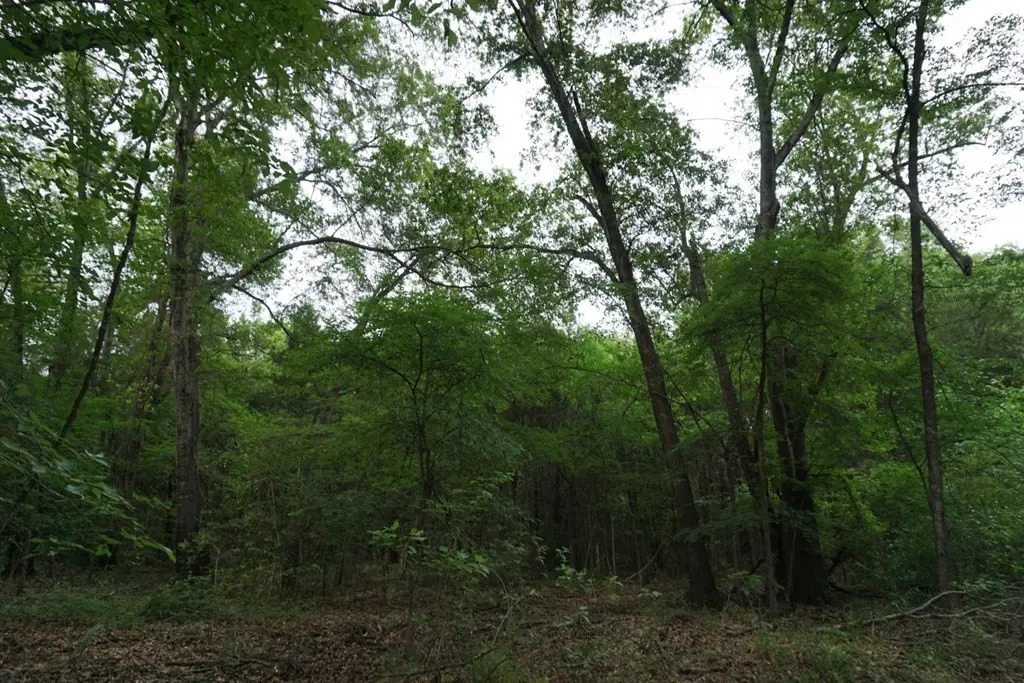 Picture 26