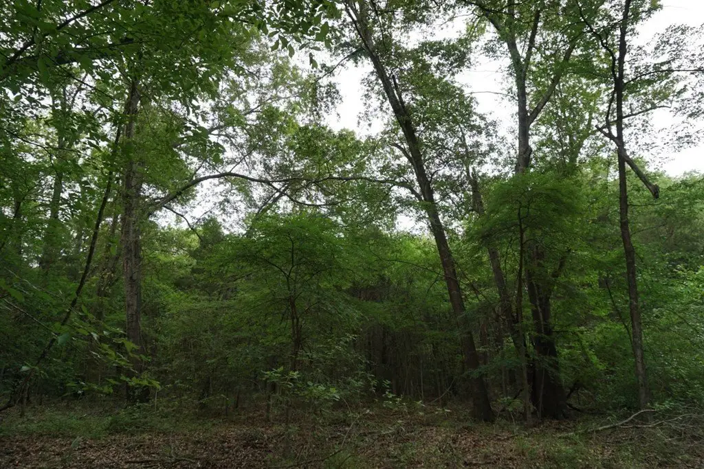 Picture 25
