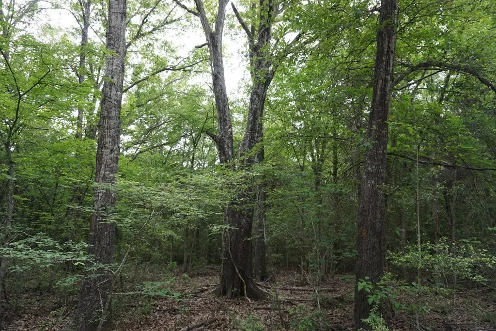 Picture 19