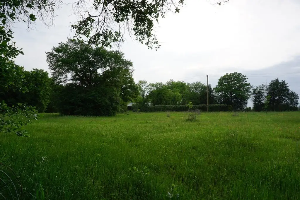 Picture 24