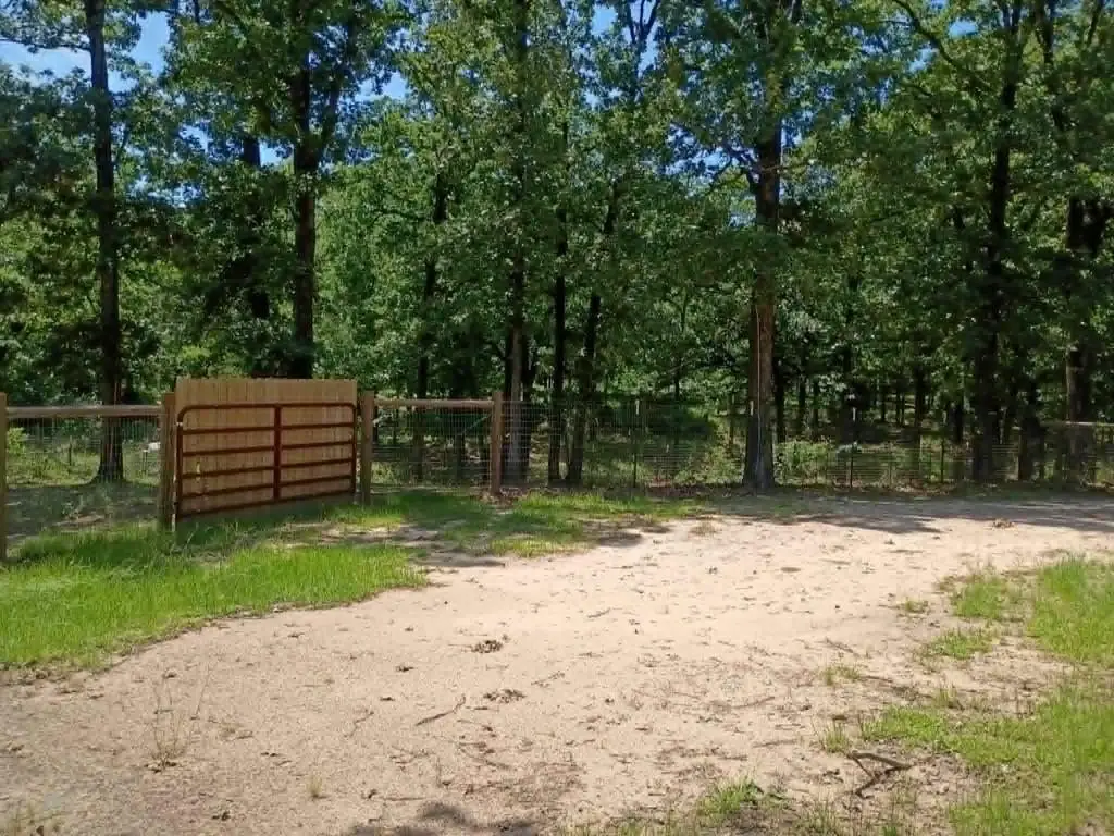 Picture 10