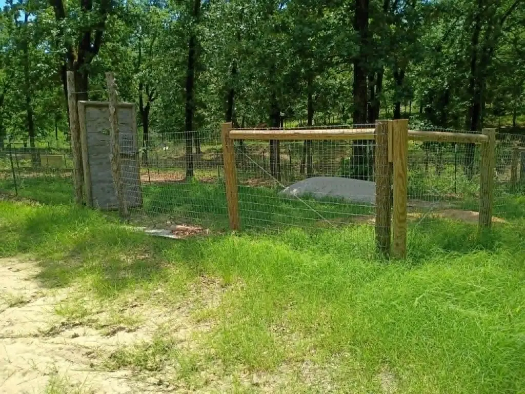 Picture 7