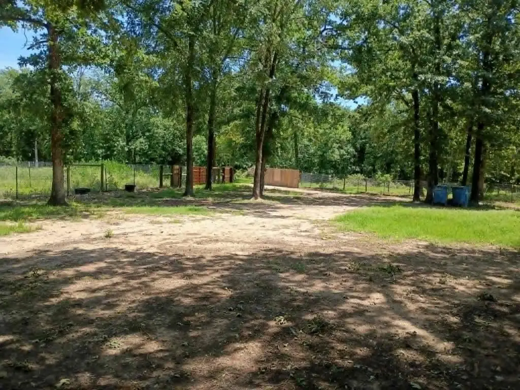 Picture 11