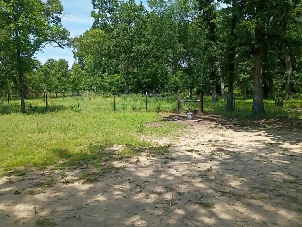 Picture 12
