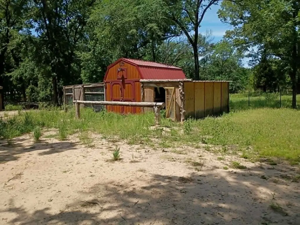 Picture 6
