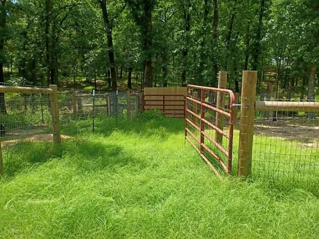 Picture 8