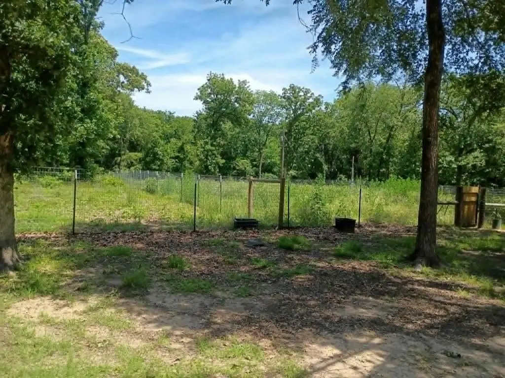 Picture 13