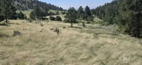 Westcliffe Treed Land with Mountain Views
