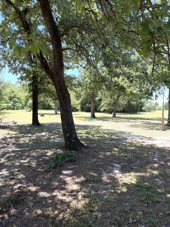 Picture 17