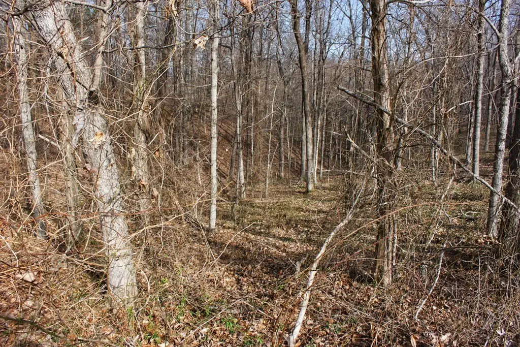 Picture 11