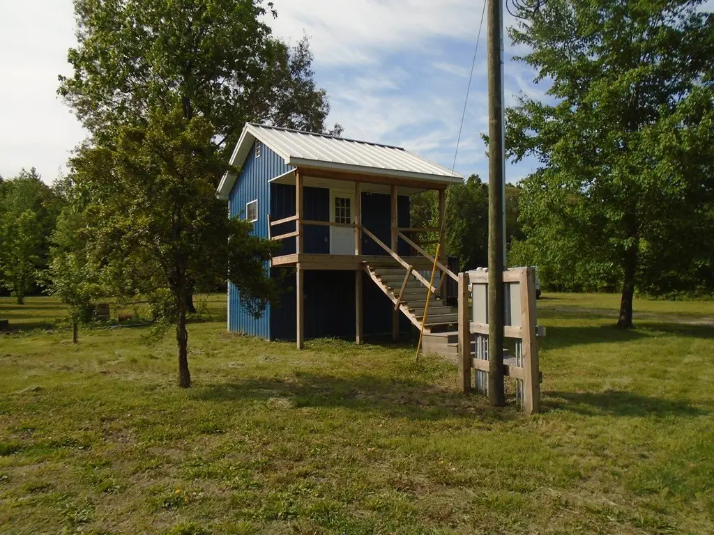Picture 12