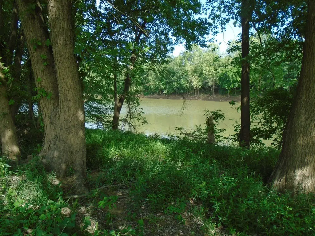 Picture 3