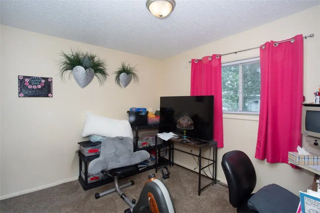 Picture 14
