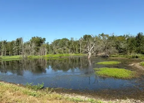 84 Acres Versatile Land Available