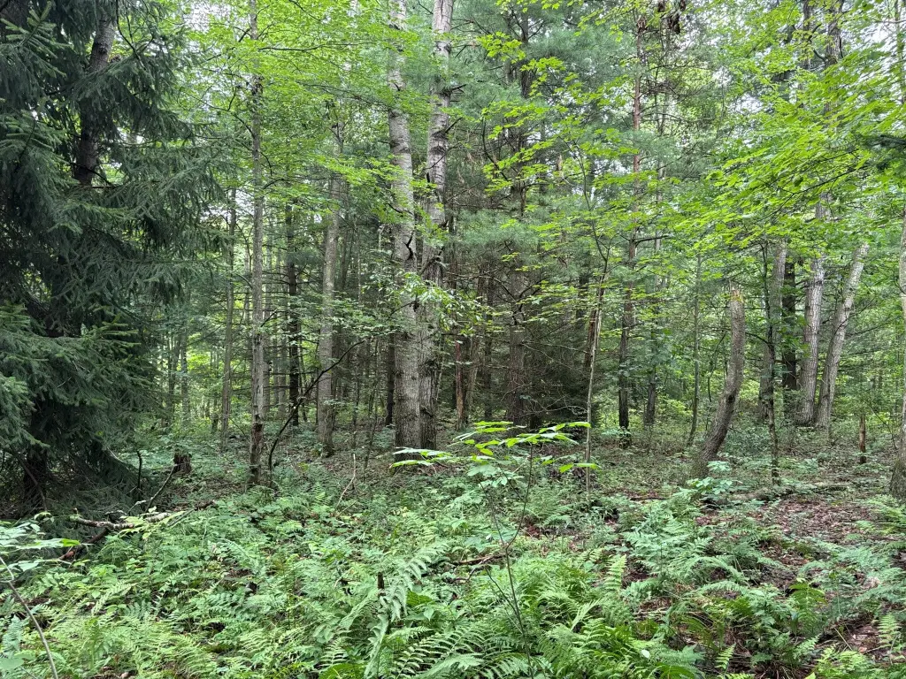 Picture 16