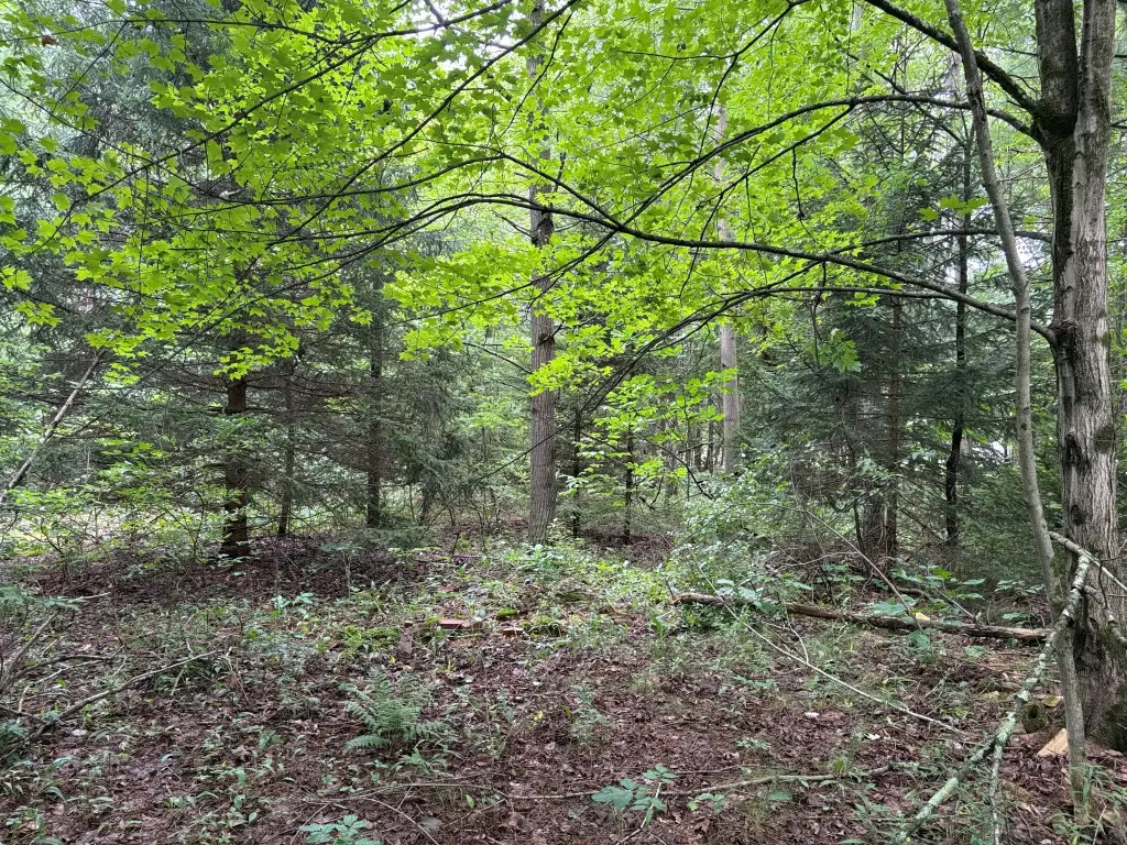 Picture 17