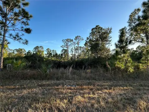 Residential Lot in Port Charlotte