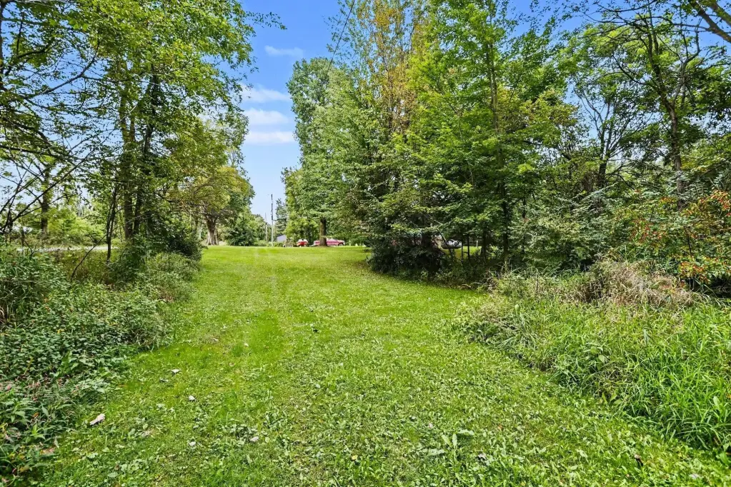 Picture 5