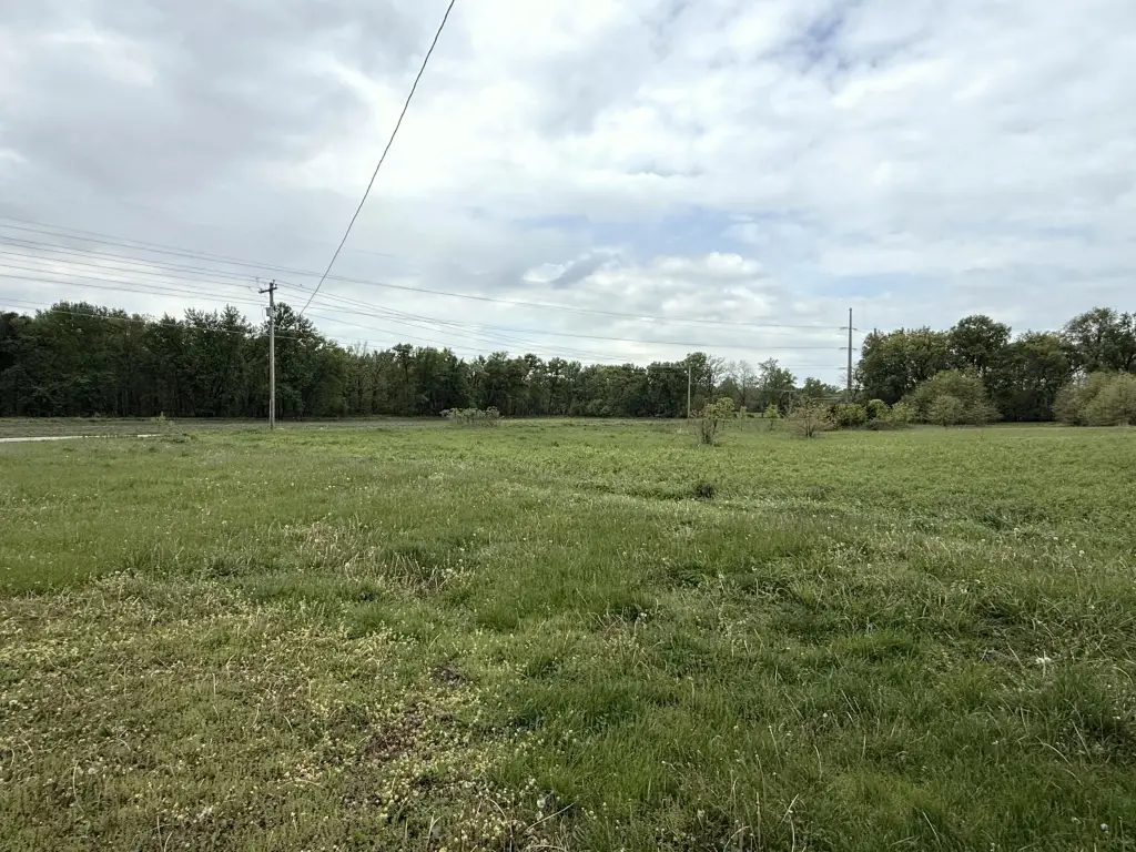 Picture 25
